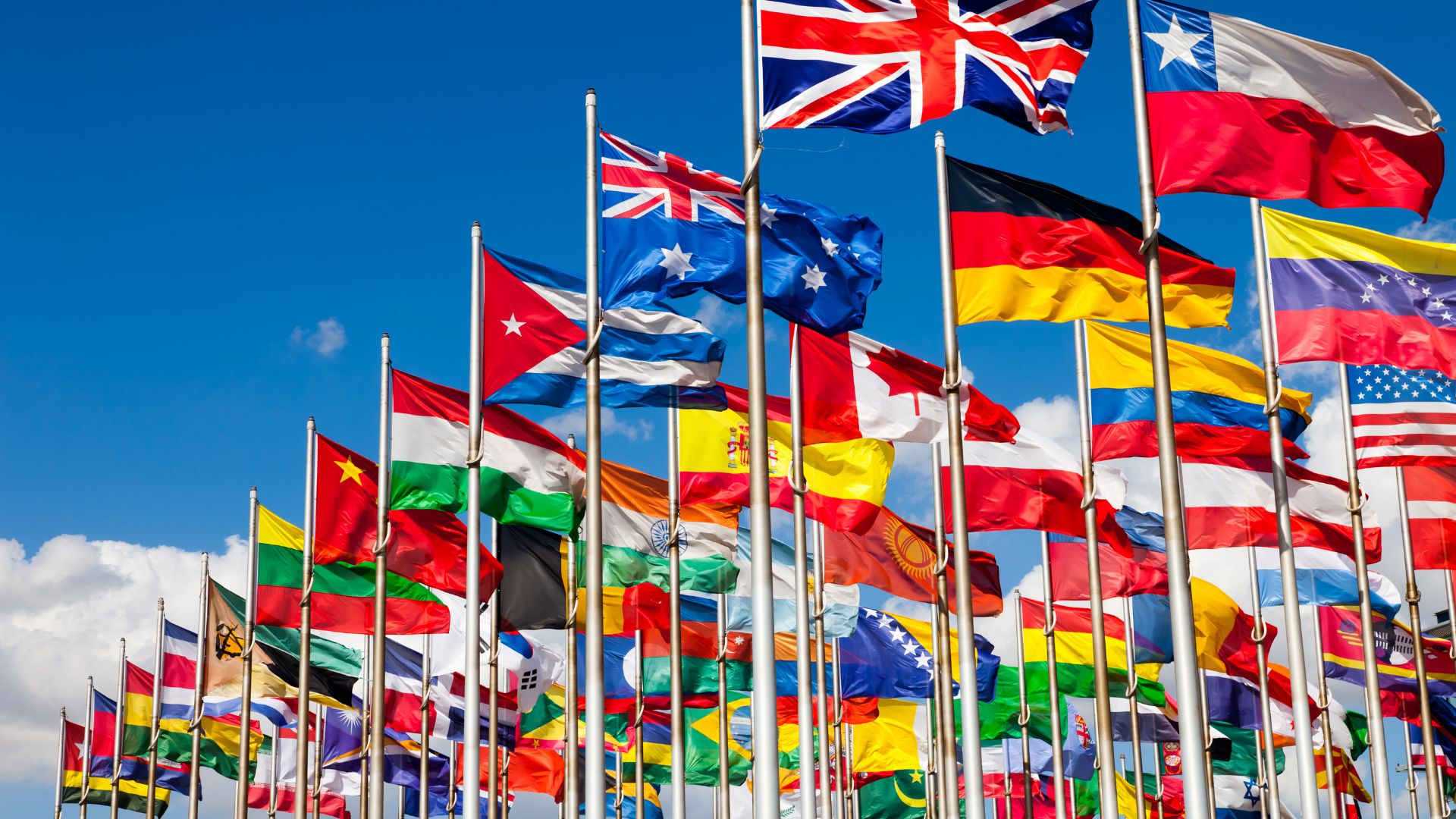 Internationaal belastingadvies